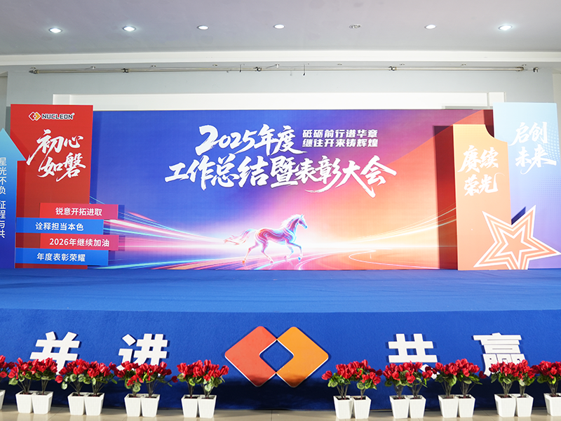 砥砺前行谱华章，继往开来铸辉煌—狗子28公司召开2025年度工作总结暨表彰大会！