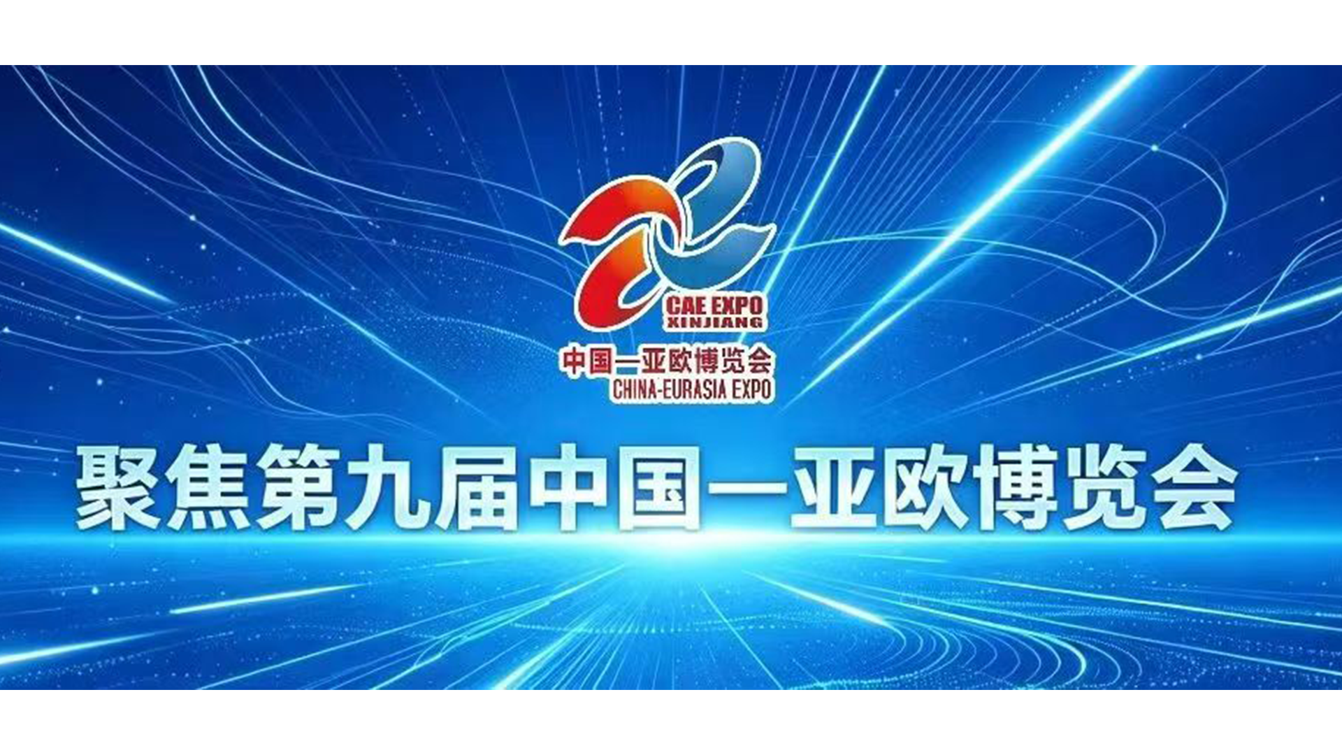 展会标题